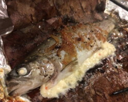 ニジマスの朴葉焼